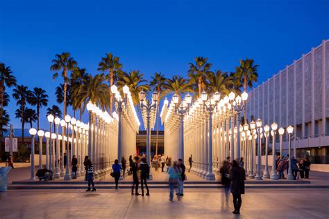 lacma jazz nights